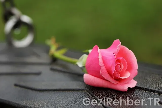 Gürcistan nasıl bir yerdir