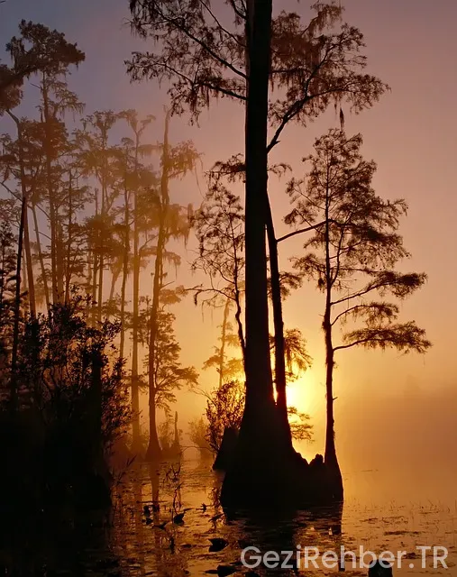 Gürcistan otobüsle gezi turu