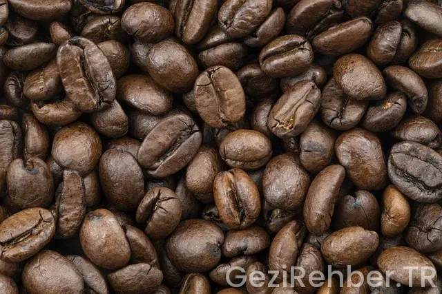 Gürcistan seyahat rehberi