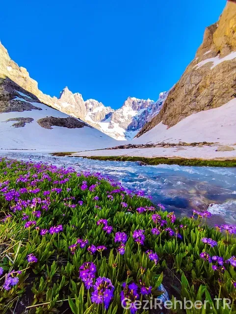 Hakkari uçakla kaç saat
