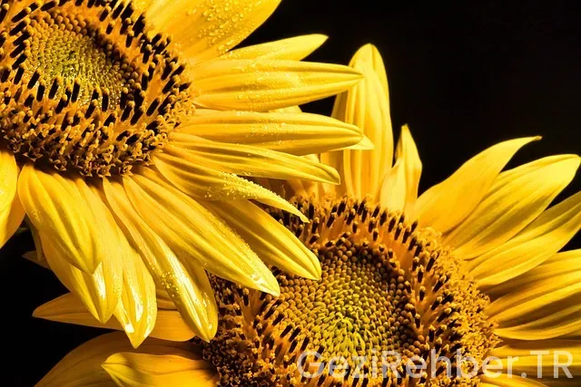 Hatay'da nerede kalınır