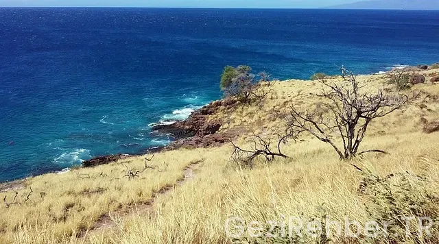 Hawaii uçakla kaç saat