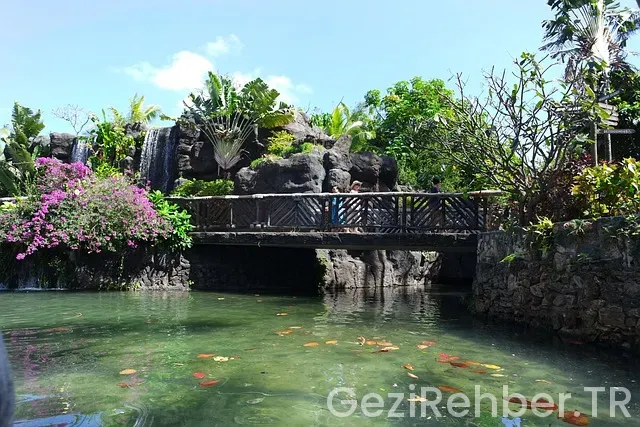 Hawaii uçakla kaç saat