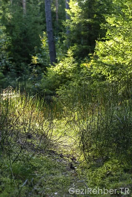 Hazar gölü kamp yerleri