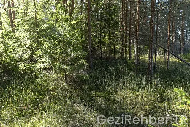 Hazar gölü kamp yerleri