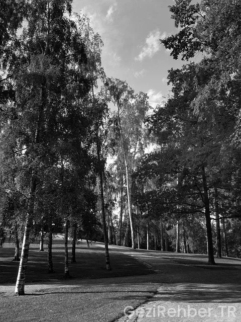 Helsinki uçakla kaç saat