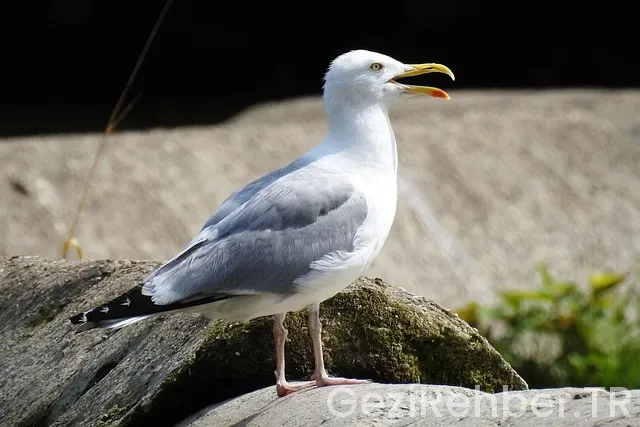 Her Bütçeye Uygun Türkiye Otelleri