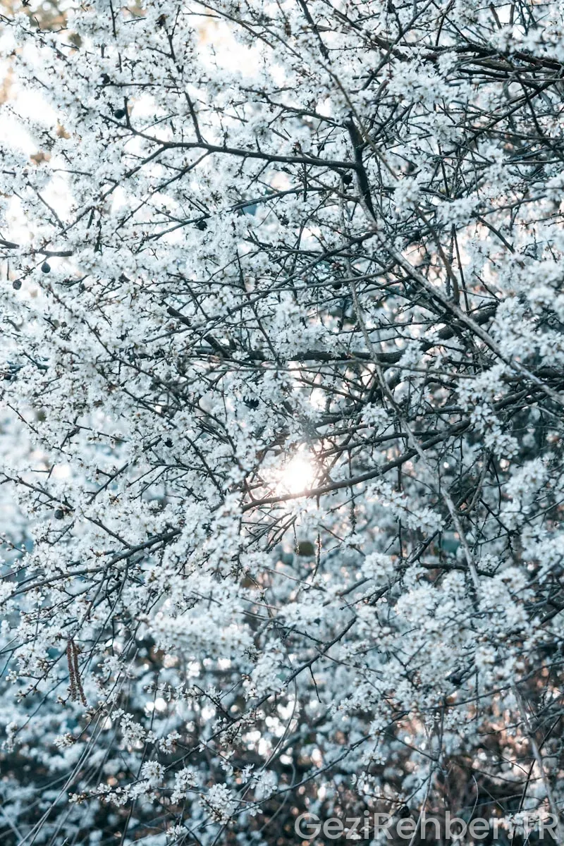 Her Mevsim Gidilecek Tatil Yerleri