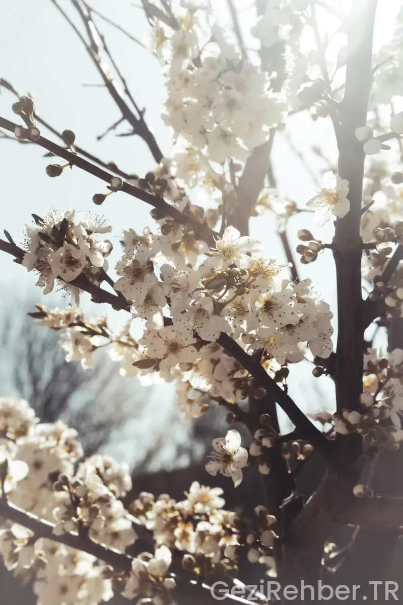 Her Mevsim Gidilecek Tatil Yerleri