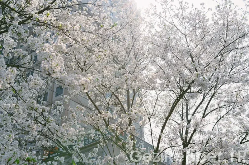 Her Mevsim Gidilecek Tatil Yerleri