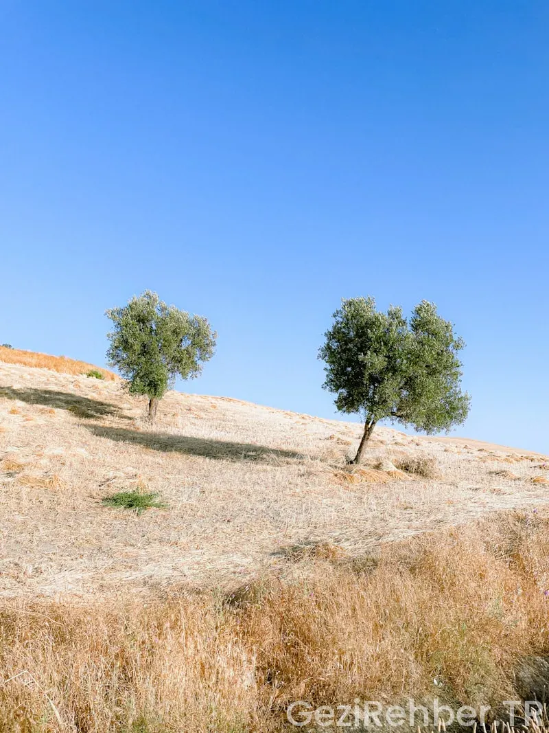 Heybeliada’da Gezilecek Yerler Heybeliada’da Gezilecek Yerler