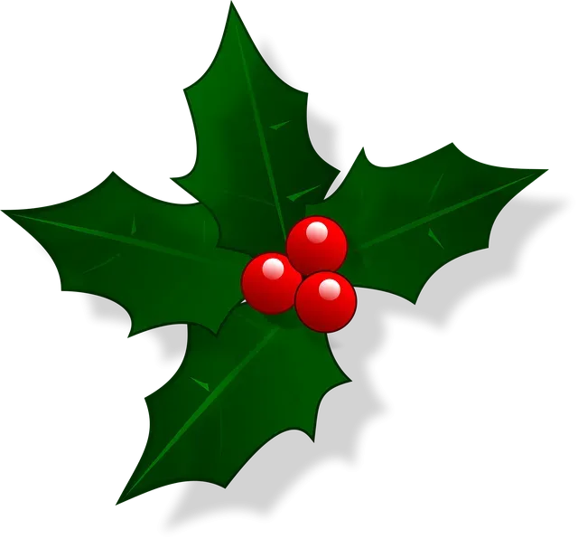 Hindistan Holi Festivali Turu