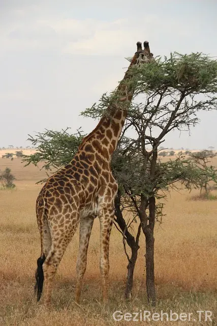 Hırvatistan uçakla kaç saat