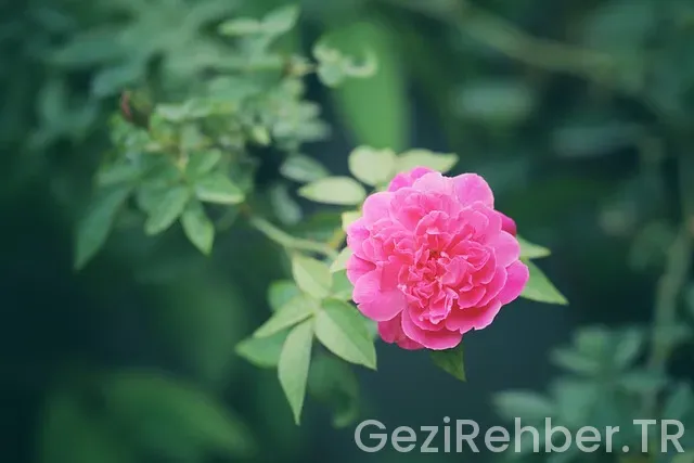 Hırvatistan'ın en güzel şehri