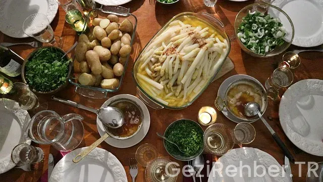 Hollanda uçakla kaç saat