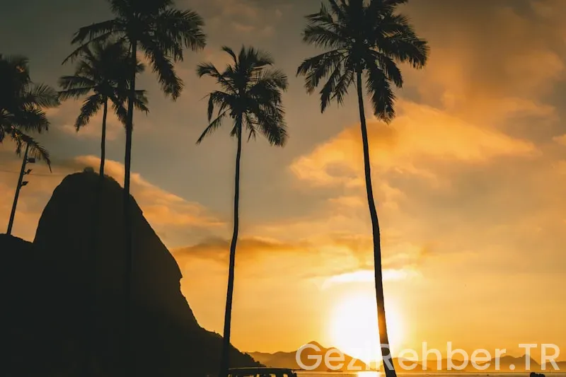 Honolulu travel guide