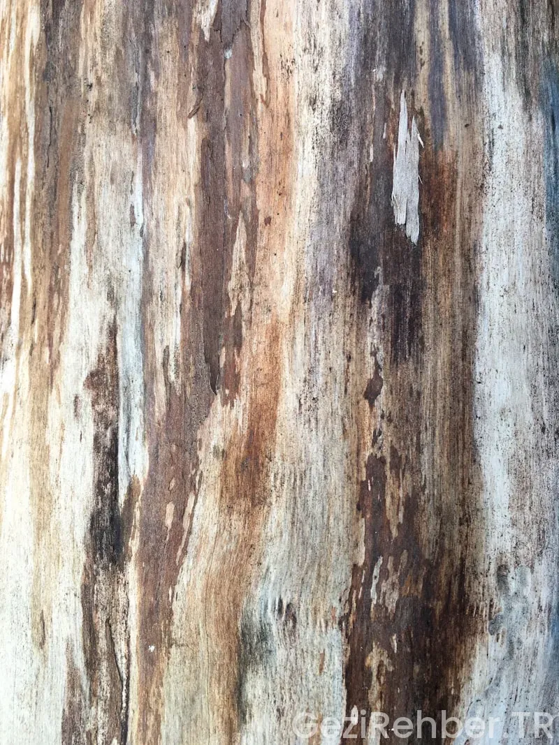 Hurdacılar sitesi yol tarifi