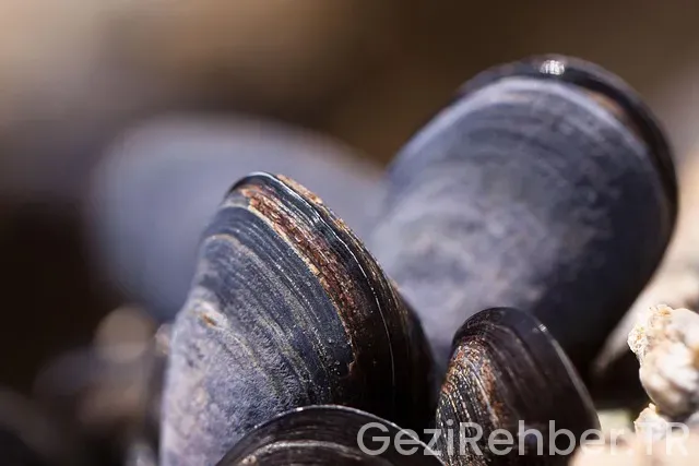 İç Anadolu Bölgesi Gezi Rehberi