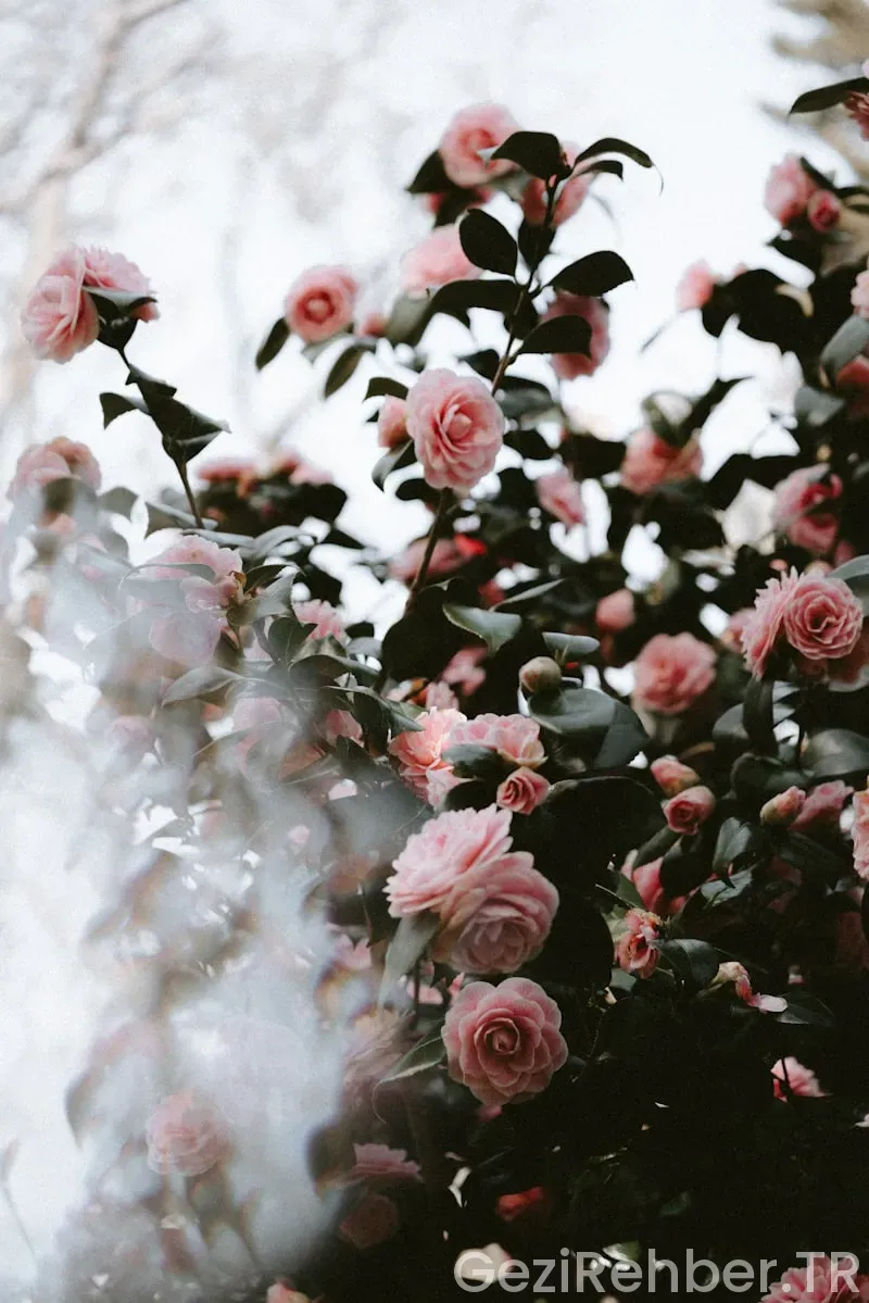 İç anadolunun en güzel şehri