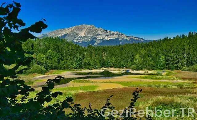 İdeal tur fatura bilgileri İdeal tur fatura bilgileri