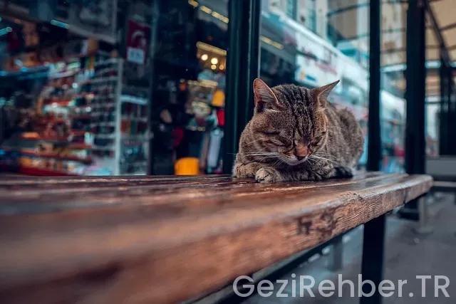 Iğdır istanbul uçakla kaç saat