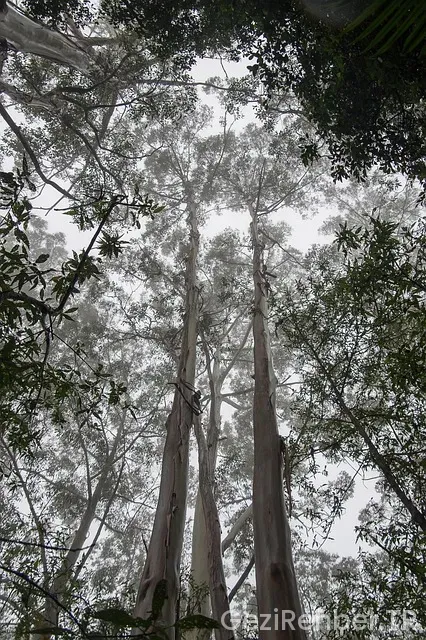 İlkbaharda Tropik Balayı Önerileri