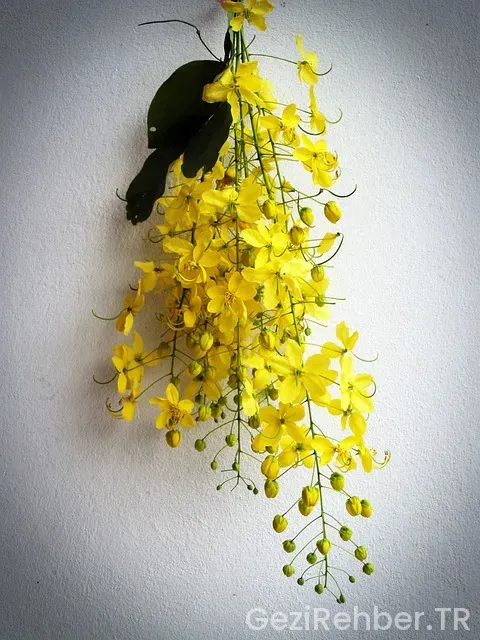 İlkbaharda Tropik Balayı Önerileri