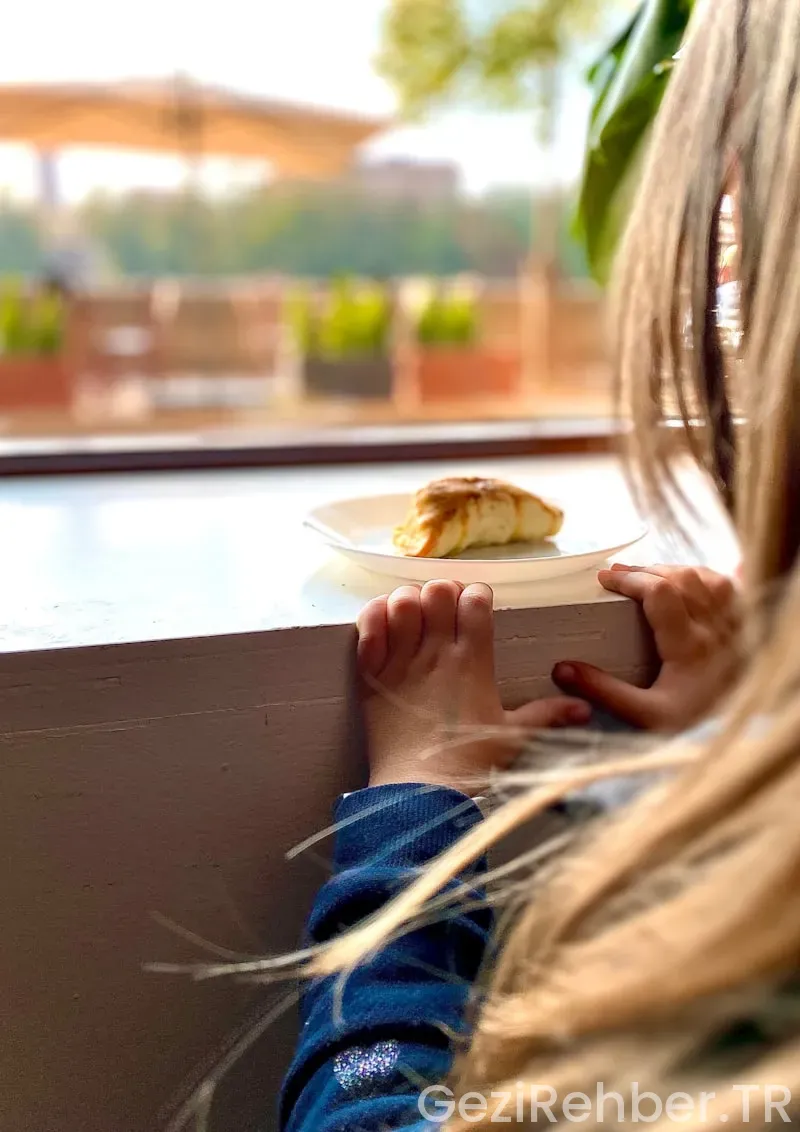 İlkokul Okul Gezisine Yiyecek Ne Hazırlanır?