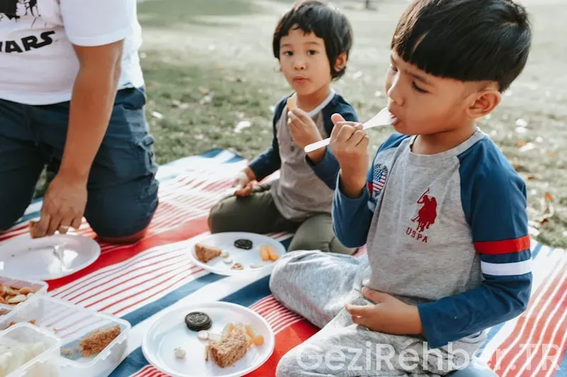 İlkokul Okul Gezisine Yiyecek Ne Hazırlanır?