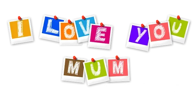 İngiltere Turist Vizesi için gereken evraklar