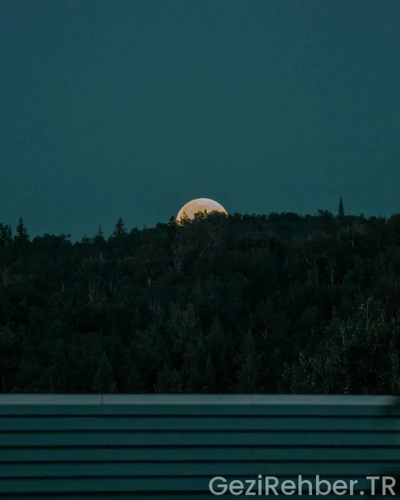 insanların ayın ötesine seyahat etmesine katkı sağlayacak biyolojik araştırmalar
