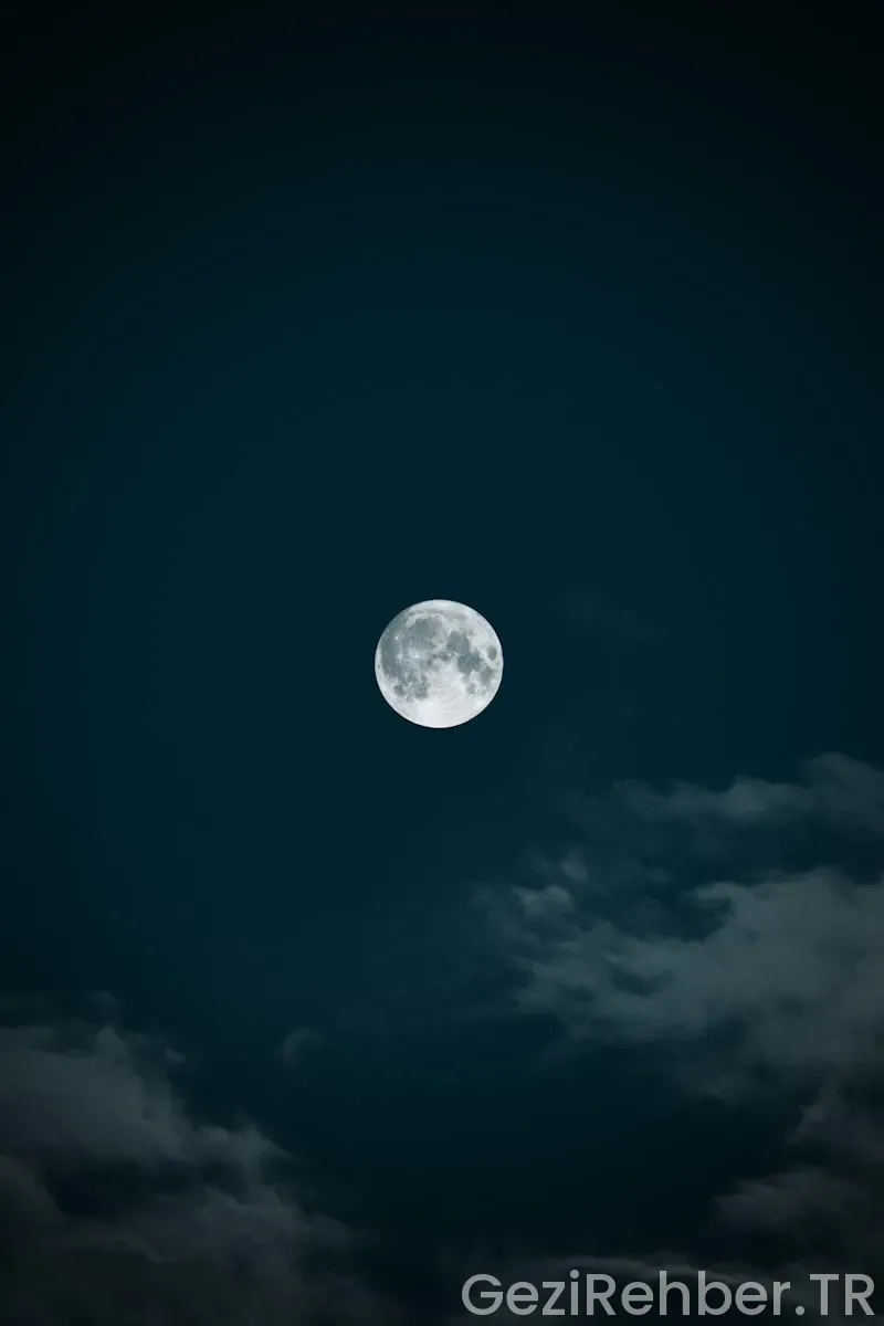 insanların ayın ötesine seyahat etmesine katkı sağlayacak biyolojik araştırmalar