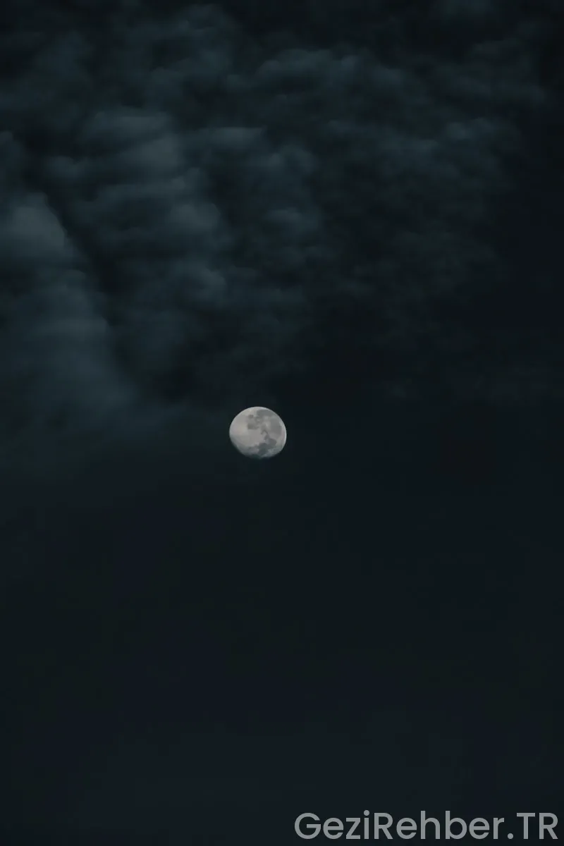 insanların ayın ötesine seyahat etmesine katkı sağlayacak biyolojik araştırmalar