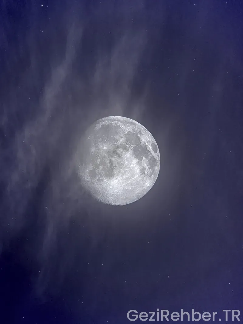 insanların ayın ötesine seyahat etmesine katkı sağlayacak biyolojik araştırmalar