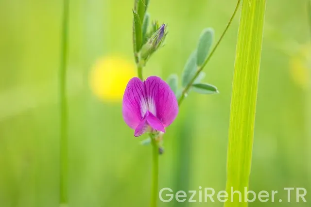 Irak uçakla kaç saat