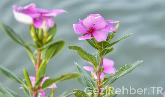 Irak uçakla kaç saat