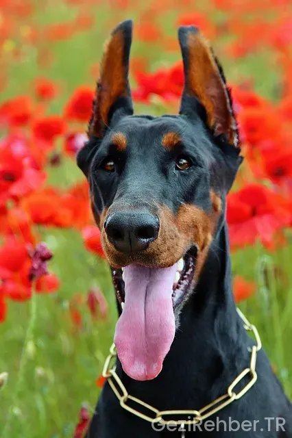 İspanya dil pratk gezi İspanya dil pratk gezi