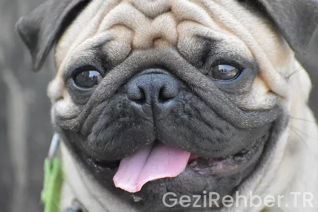 İspanya dil pratk gezi İspanya dil pratk gezi