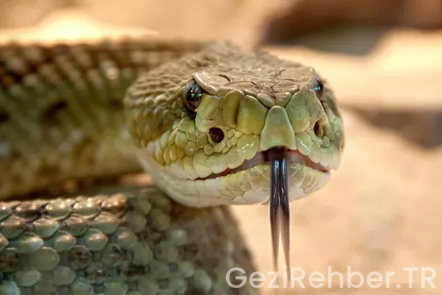 İspanya dil pratk gezi İspanya dil pratk gezi