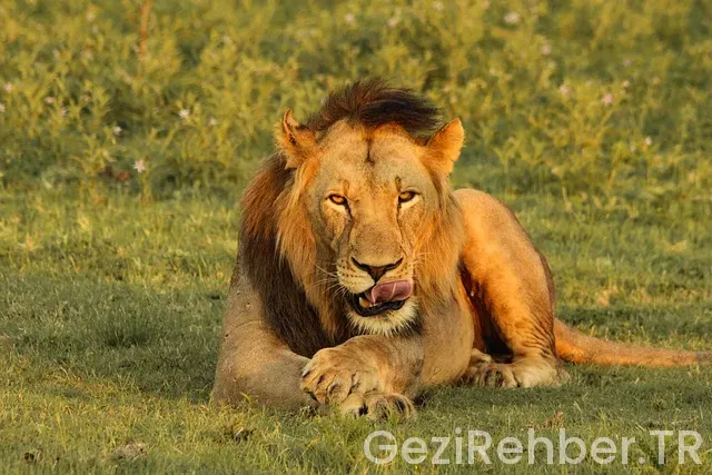 İspanya dil pratk gezi İspanya dil pratk gezi