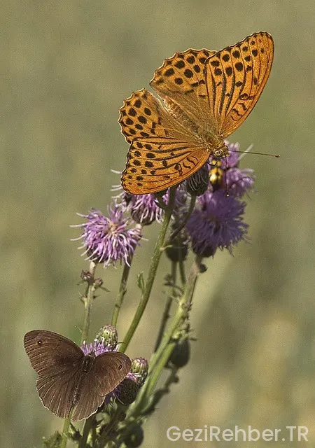 İspanya gezi notları