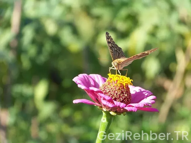 İspanya gezi notları