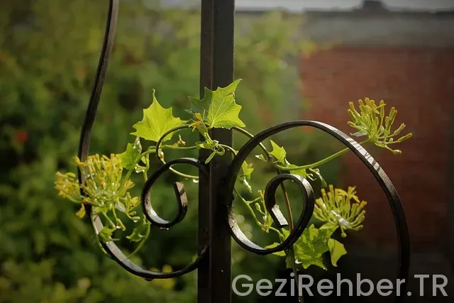 İspanya gezi rehberi indir