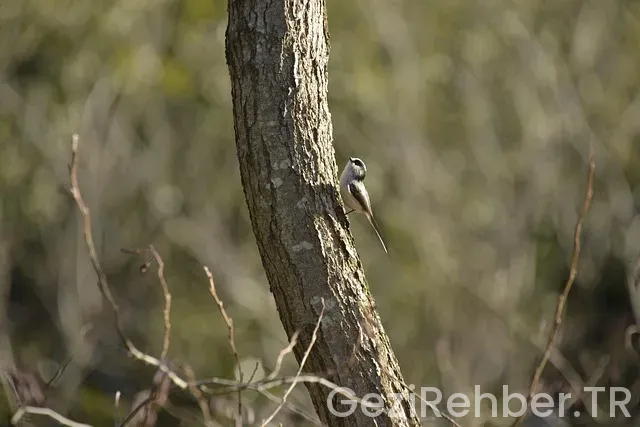 İspanya gezi rehberi kitap pdf