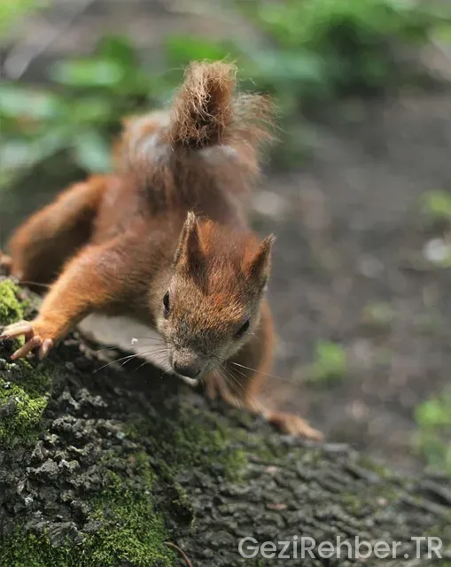İspanya gezi rehberi kitap pdf
