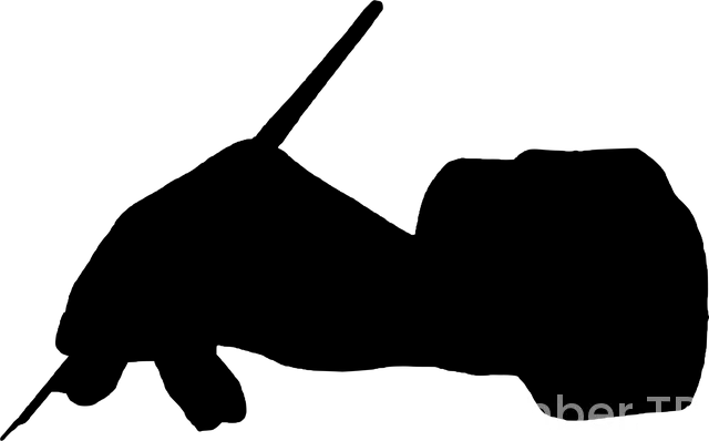 İspanya gezi yazısı