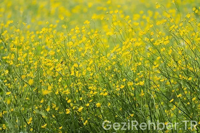 İspanya uçakla kaç saat İspanya uçakla kaç saat