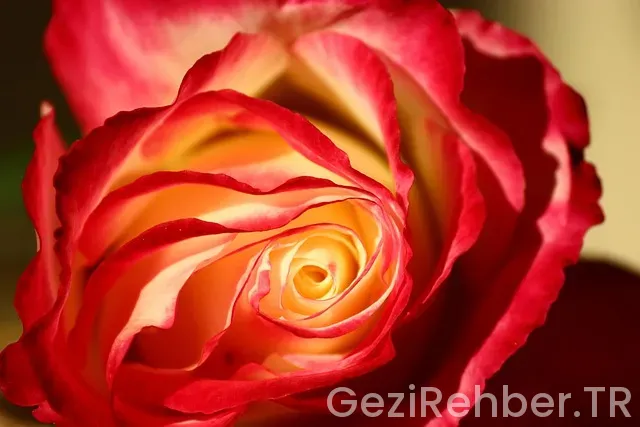 Isparta kamp yerleri