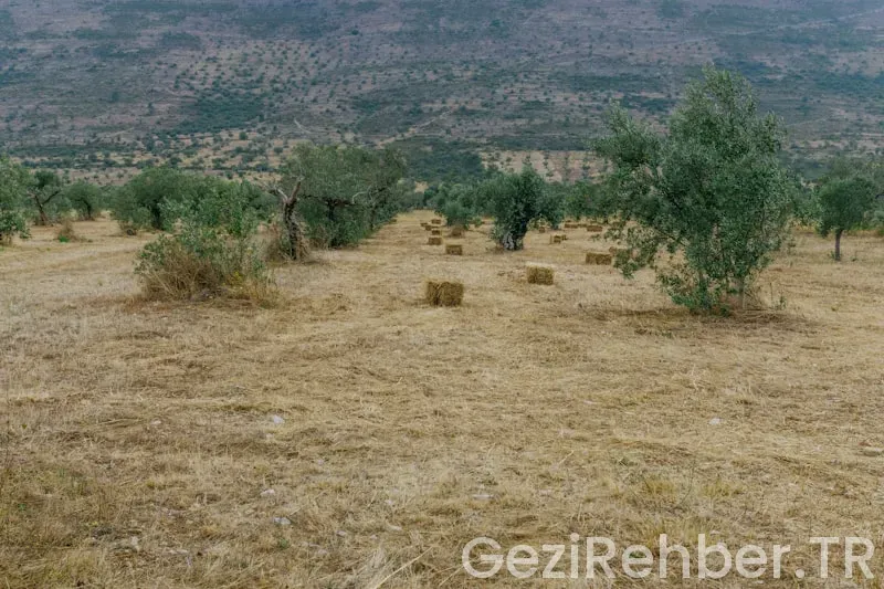 Isparta’da Gezilecek Yerler