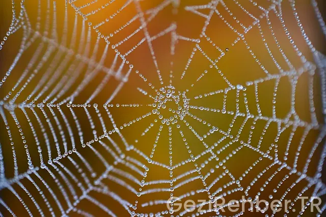 İstanbul almanya uçakla kaç saat